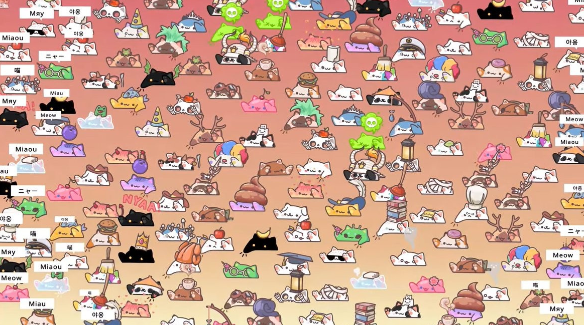 《邦戈猫》