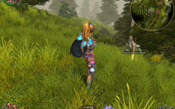 经典ARPG《圣域2：堕落天使》重制版宣布年内推出