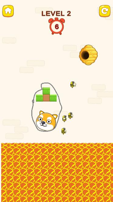 Pictures20260209102620